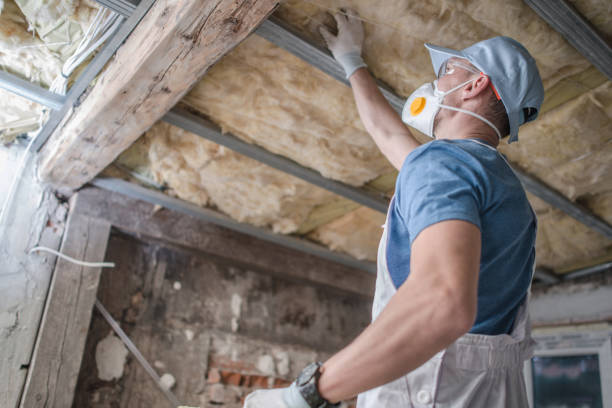 Best DIY Insulation Kits and Guidance in Millbrook, NY